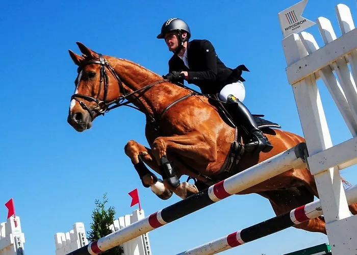 Blue Grey Atelier Zoppot