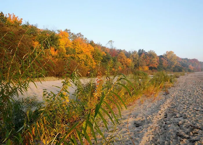 Blue Grey Atelier Apartment
